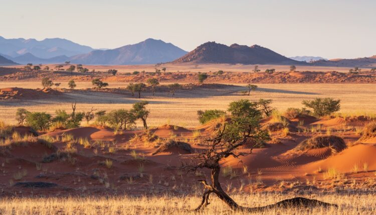 Voyage en Namibie : bientôt, un visa obligatoire