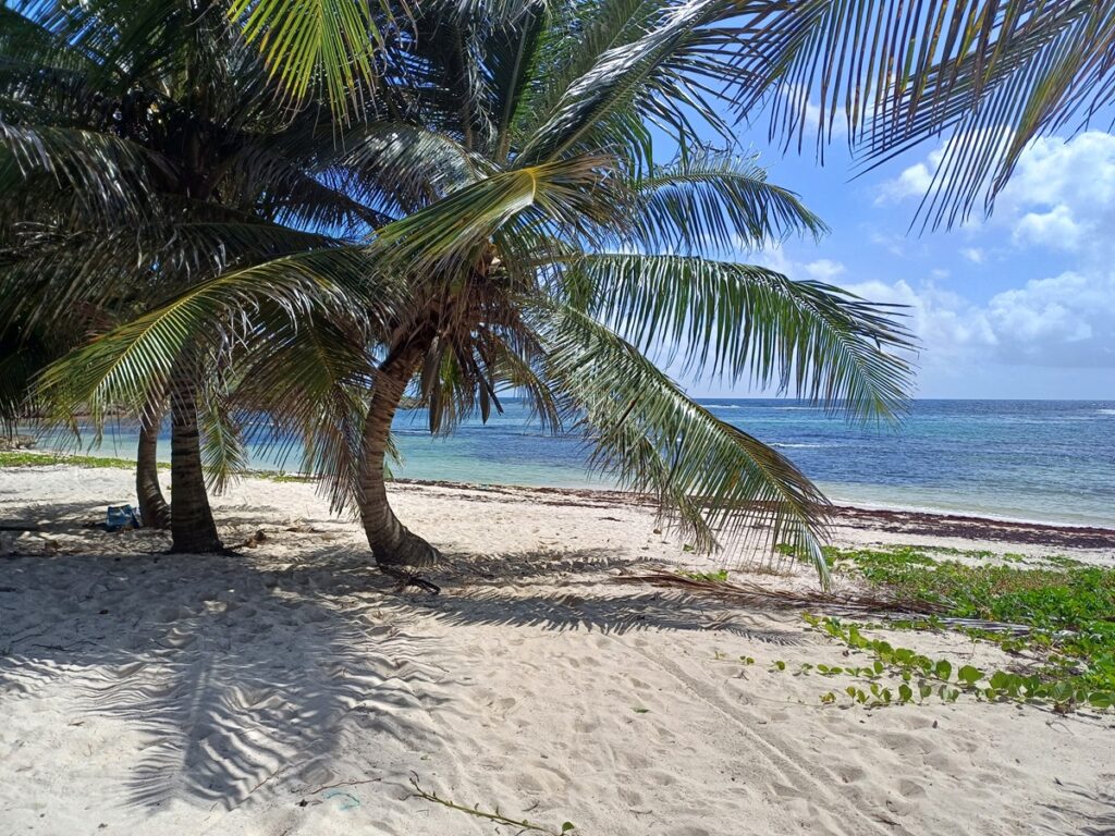 Guadeloupe : les 10 endroits préférés de la rédaction