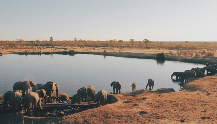 L’Office du tourisme du Zimbabwe ouvre son bureau à Paris