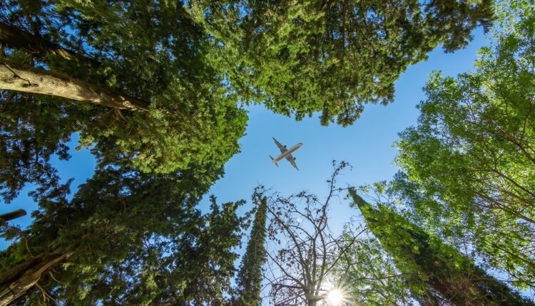 Réchauffement climatique : le gouvernement veut l'avis des pros du tourisme