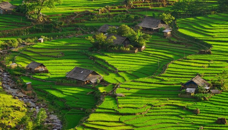 Sofitel : un troisième établissement au Vietnam